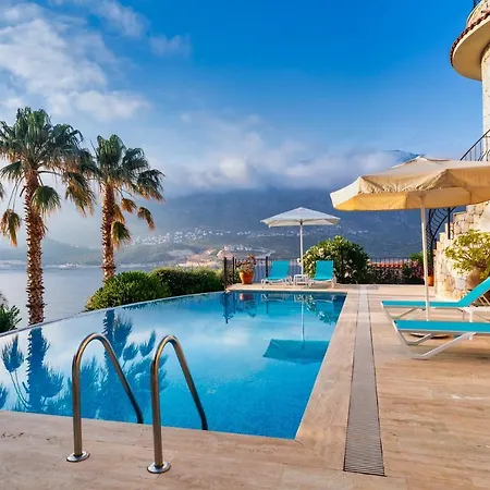 Villa Palm *